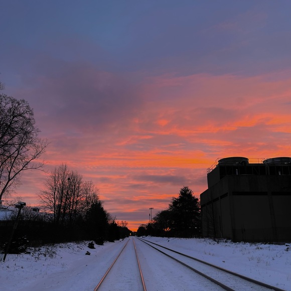 Meet your Posher, Paulina - Picture 1 of 1